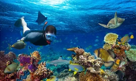 Top 7 Snorkeling Spots in Egypt